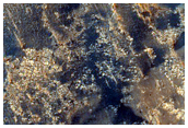 Bedrock on Crater Floor in Arabia Terra