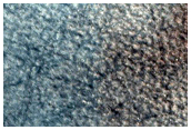 Northern Plains Sample
