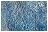 Thumbprint-Type Northern Plains Terrain