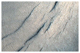 Acidalia Planitia Sample