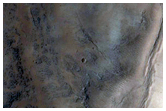 Seven Kilometer Impact Crater Exposing Stratigraphy of Large Butterfly Ejecta Lobe