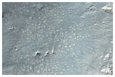 Eastern Rim and Ejecta of Crater in Margaritifer Terra