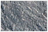 Recent Crater on Northern Plains