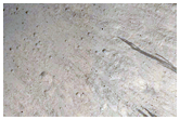 Flow Features as Seen in CTX Image P20_008700_1787