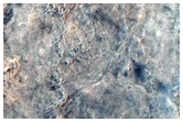 Diverse Bedrock North of Syrtis Major