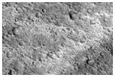 Fractures in Chryse Planitia