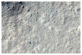 Fresh Impact Site