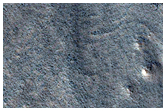 Rocky Fan in Lyot Basin