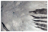 Crater Exposing Bedrock Layers in Amazonis Planitia