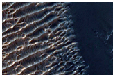 Bedform Changes Southwest of Schiaparelli Crater