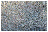 Terrain in Northern Plains