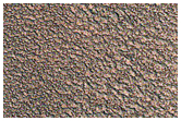 North Polar Terrain