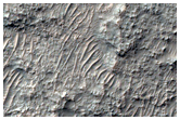 Light-Toned Patterned Ground
