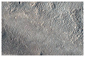 Surface Texture Contacts