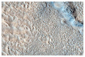 Tinjar Valles Region