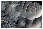 Pitted Crater Floor