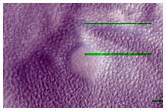 Cross Section of Mantle in Milankovic Crater