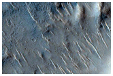 Cones and Crater in Isidis Planitia