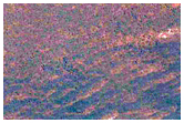 Rim of Lomonosov Crater