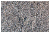 Shallow Depressions in Amazonis Planitia
