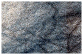 Terrain with Layered Material and Circular Pits