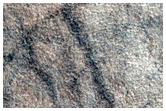 Northern Plains