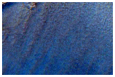 Depositional Fan Within Lyot Crater