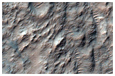 Layered Flow Ejecta