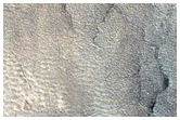 Gullies in Northern  Mid-Latitude Crater
