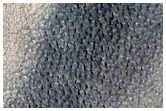 North Rim of Milankovic Crater