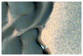 North Polar Crater Dune Changes