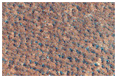 Possible Hydrate-Rich Terrain