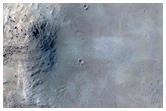 Possibly Fresh 7-Kilometer Diameter Crater on Amazonis Planitia