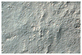 Fresh Impact Site