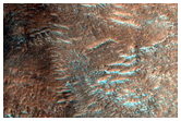 Hellas Planitia