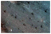 Sustained Bright Patches in North Polar Region