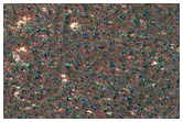 Possible Hydrate-Rich Terrain