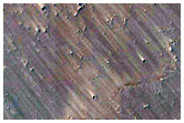Recent Crater with Possible Sulfate Exposure