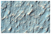 Possible Phyllosilicates and Fluvial Features Near Hashir Crater
