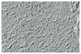 Line of Small Cones in Amazonis Planitia