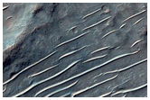 Distal Valley Regions on Northern Slope of Tyrrhenus Mons