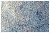 Utopia Planitia Terrain