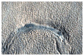 Utopia Planitia Terrain