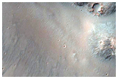 Possible Phyllosilicates in Aureum Chaos