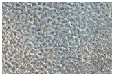 High Latitude Patterned Ground