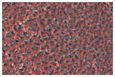 High Latitude Patterned Ground