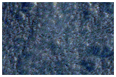 Monitor Impact-Exposed Ice
