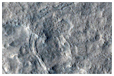 Middle Latitude Terrain