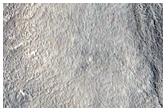 Platy Terrain at North of Elysium Mons