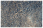 Vastitas Borealis Periglacial Terrain